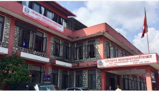 कक्षा 11 मा छात्रवृत्तिका लागि आबेदन माग। (सूचना सहित)