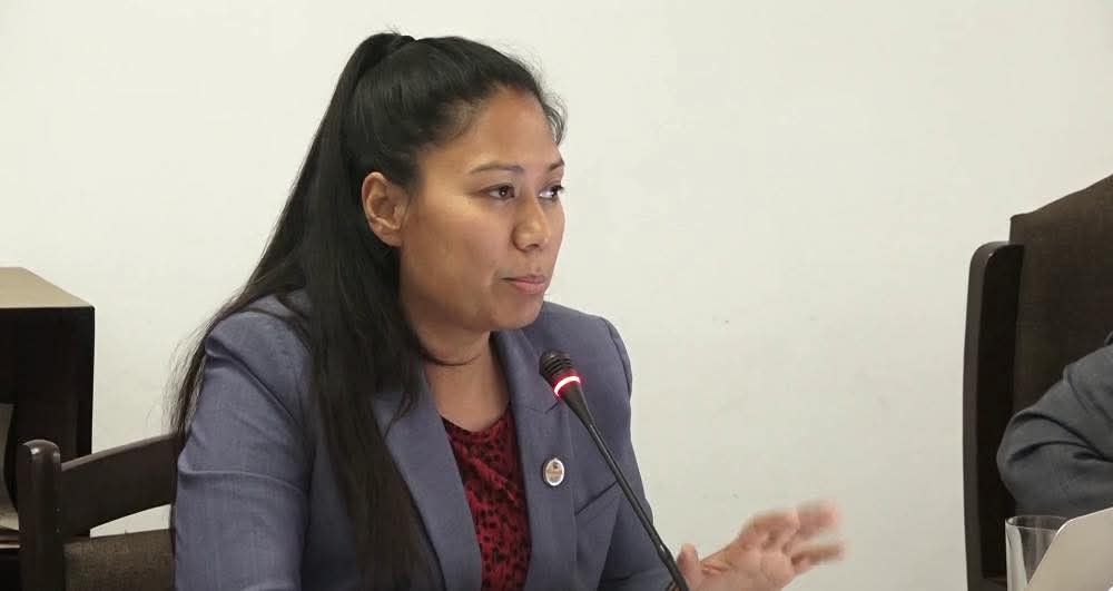 त्रिवि जग्गा छानबिन समितिको प्रतिवेदन तत्काल सार्वजनिक गर्नुपर्छ: सांसद श्रेष्ठ