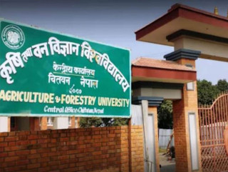 अध्ययन बिदा दुरुपयोगबारे कृषि तथा वन विज्ञान विश्वविद्यालयमा छानबिन समिति गठन